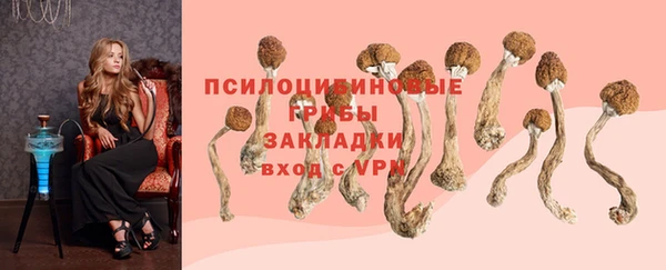 альфа пвп Магас