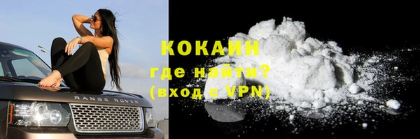 винт Майский