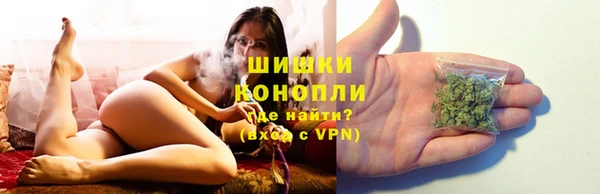 винт Майский