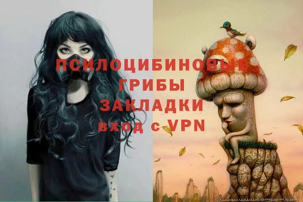 винт Майский