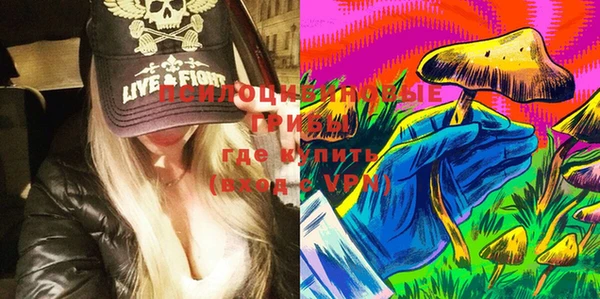 винт Майский