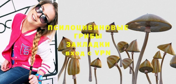 винт Майский